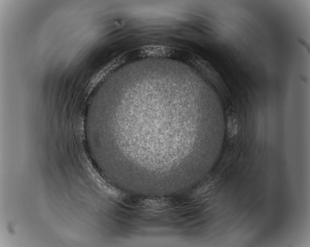 X0000101220725200807111056