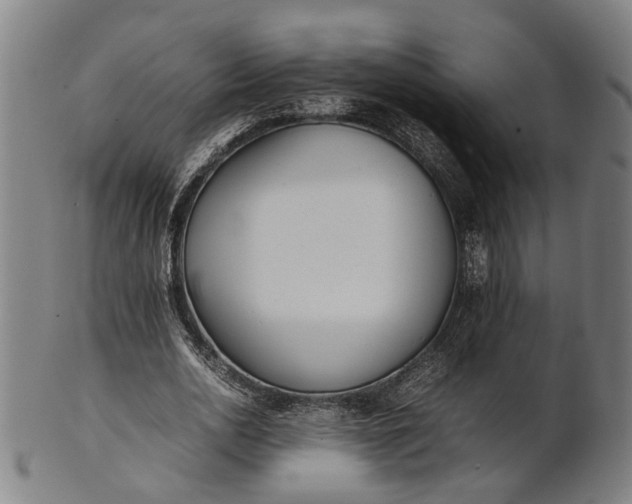 X0000101220726200807111056