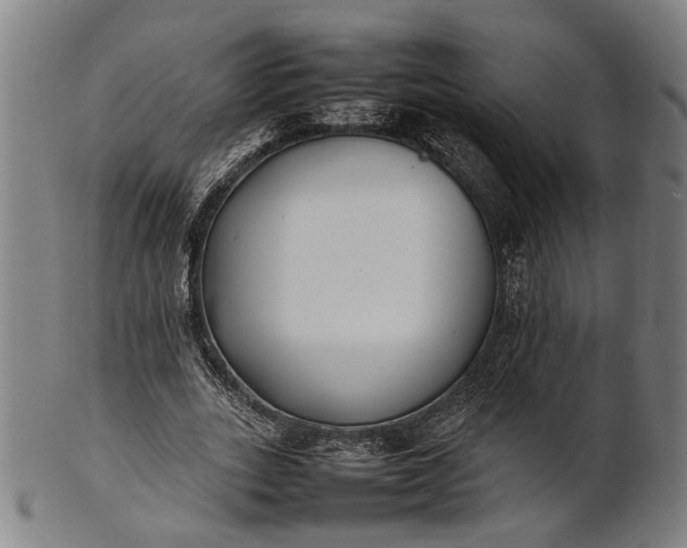 X0000101220727200807111056