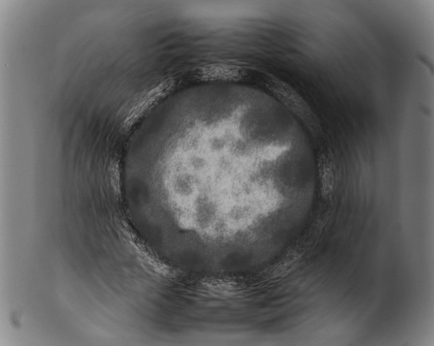 X0000101220729200807111056