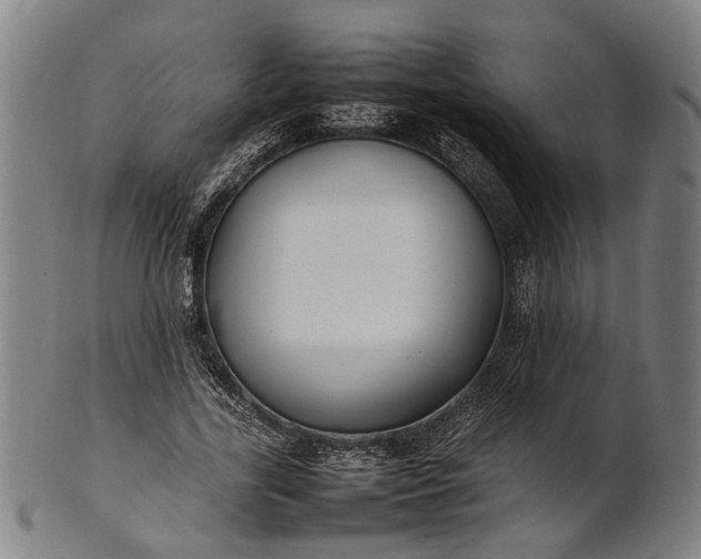 X0000101220731200807111056