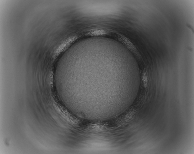 X0000101220732200807111056