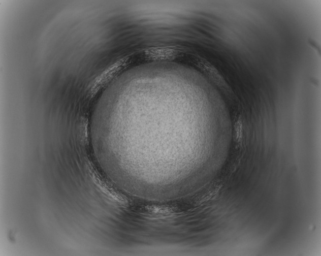 X0000101220733200807111056