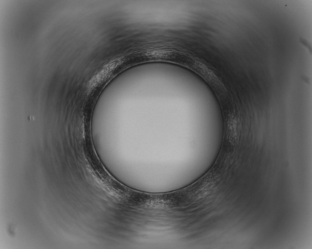 X0000101220734200807111056