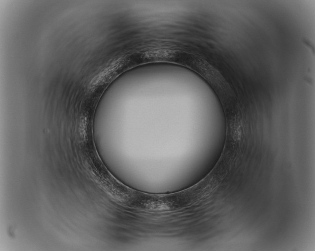X0000101220735200807111056