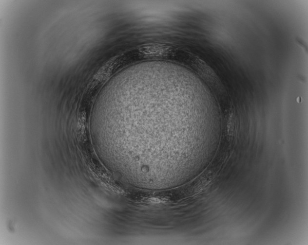 X0000101220737200807111056
