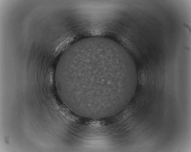 X0000101220740200807111056
