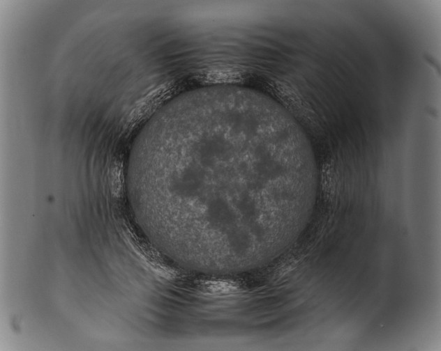 X0000101220741200807111056