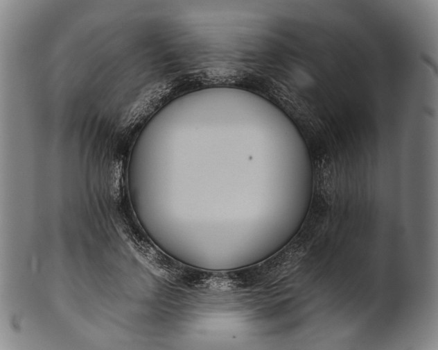 X0000101220742200807111056
