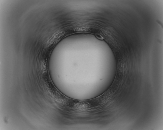 X0000101220743200807111056