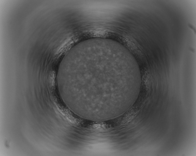 X0000101220744200807111056
