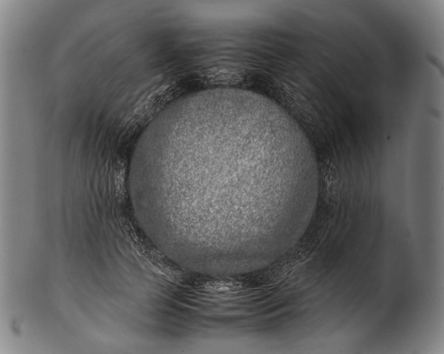 X0000101220745200807111056
