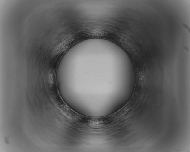 X0000101220746200807111056