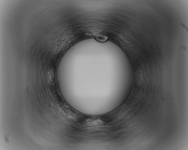 X0000101220747200807111056