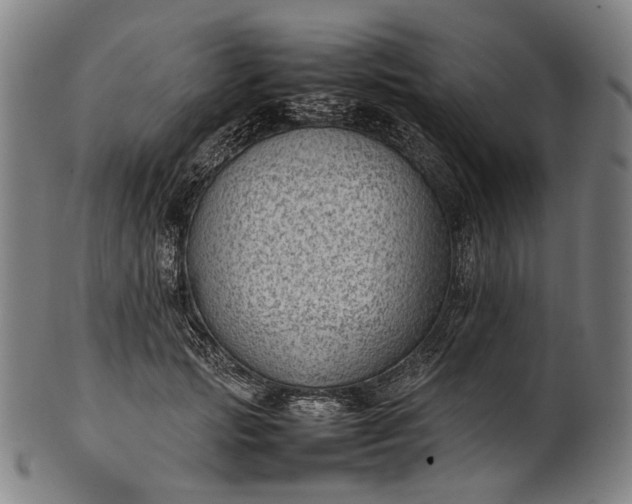 X0000101220749200807111056