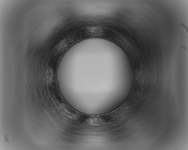 X0000101220752200807111056