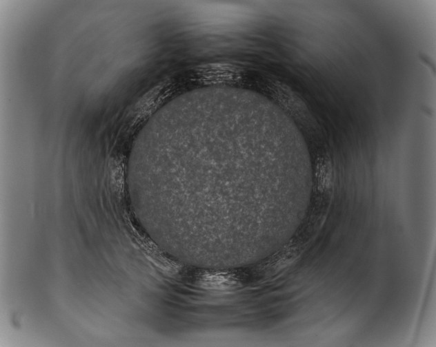 X0000101220753200807111056