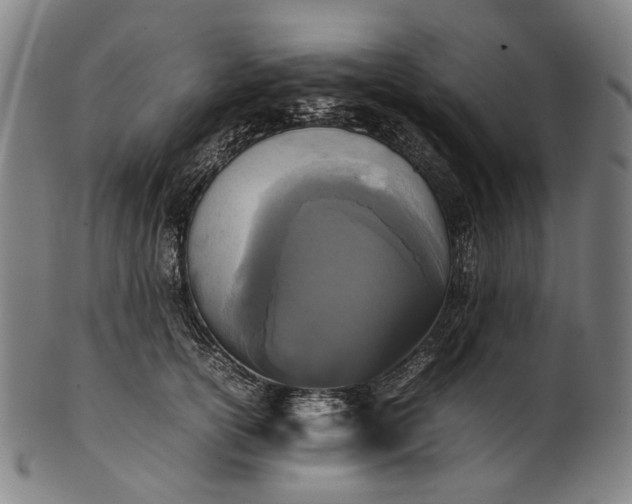 X0000101220754200807111056
