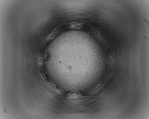 X0000101220755200807111056