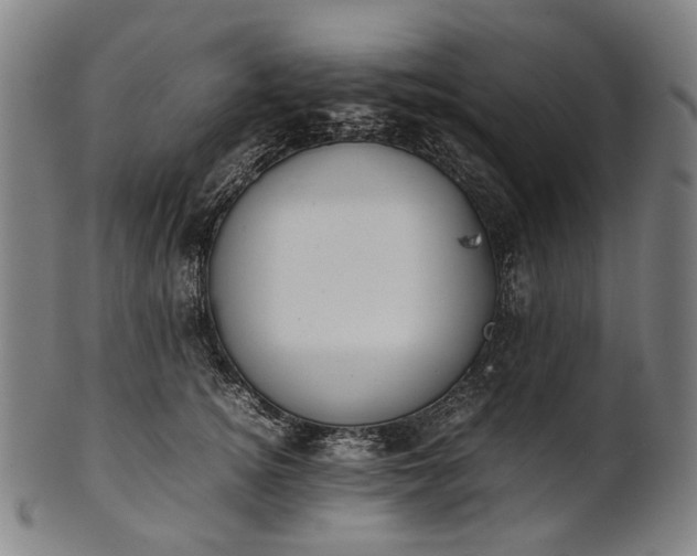X0000101220756200807111056