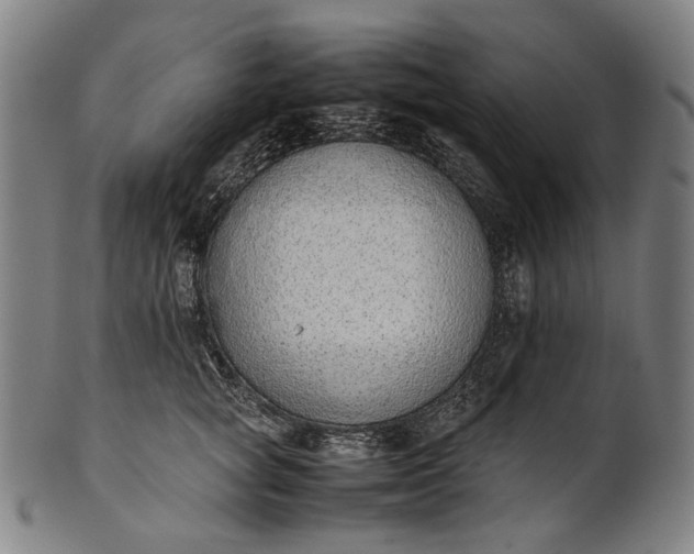 X0000101220757200807111056