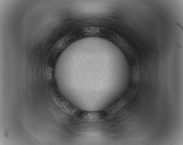 X0000101220758200807111056