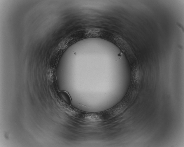 X0000101220759200807111056