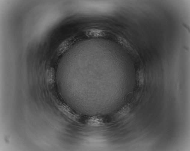 X0000101220760200807111056