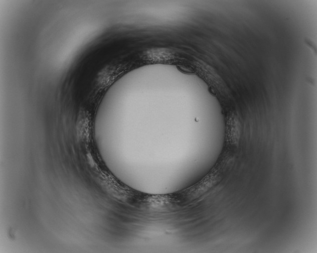 X0000101220762200807111057