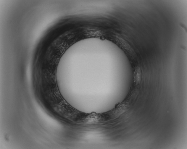 X0000101220764200807111057