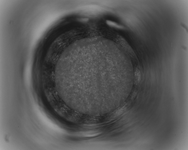 X0000101220765200807111057