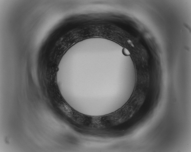 X0000101220766200807111057