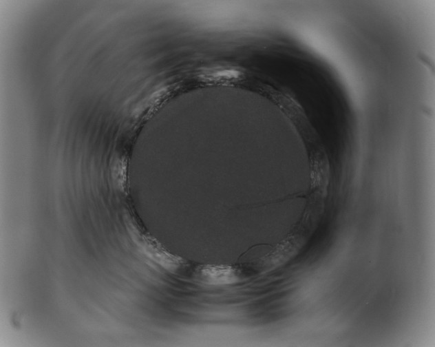 X0000101220767200807111057