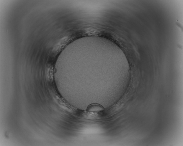 X0000101220768200807111057