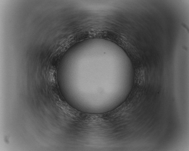 X0000101220770200807111056