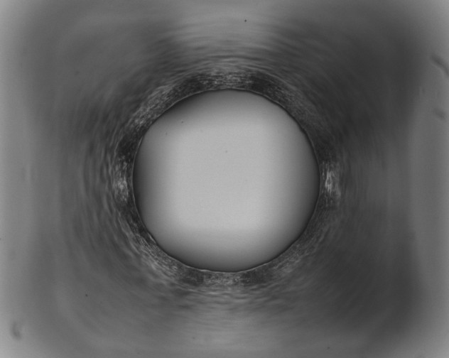 X0000101220771200807111056