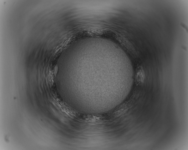 X0000101220772200807111056