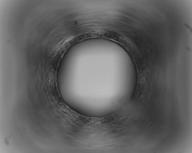 X0000101220773200807111056