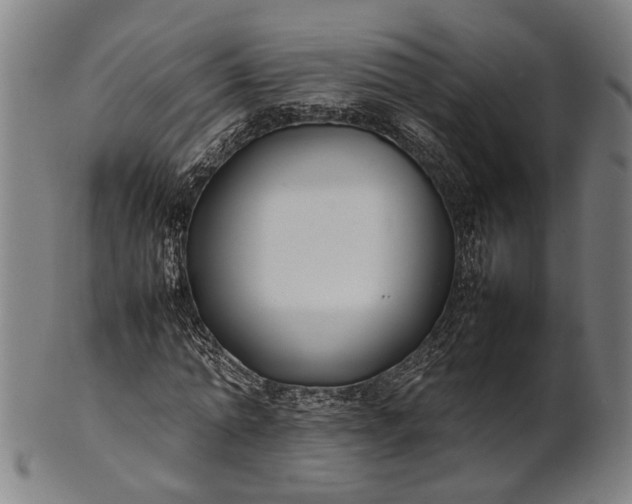 X0000101220774200807111056