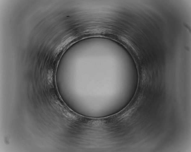 X0000101220778200807111056