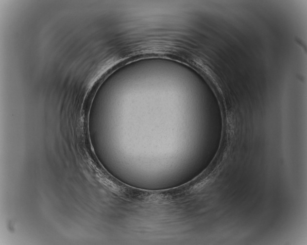 X0000101220779200807111056