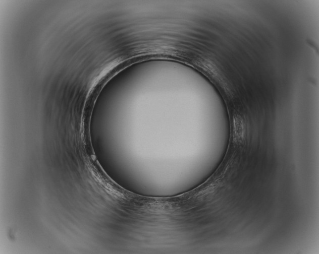 X0000101220780200807111056