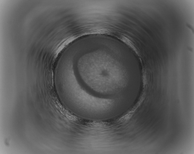 X0000101220781200807111056