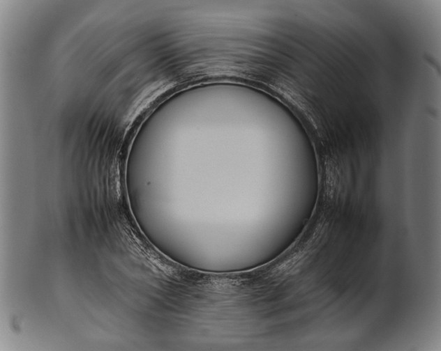 X0000101220782200807111056