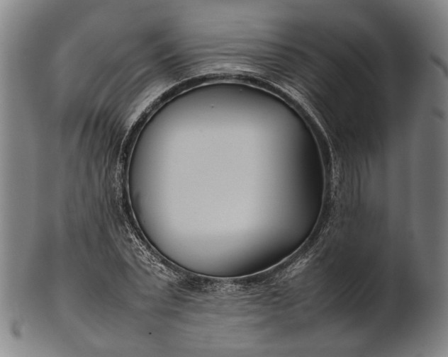 X0000101220783200807111056