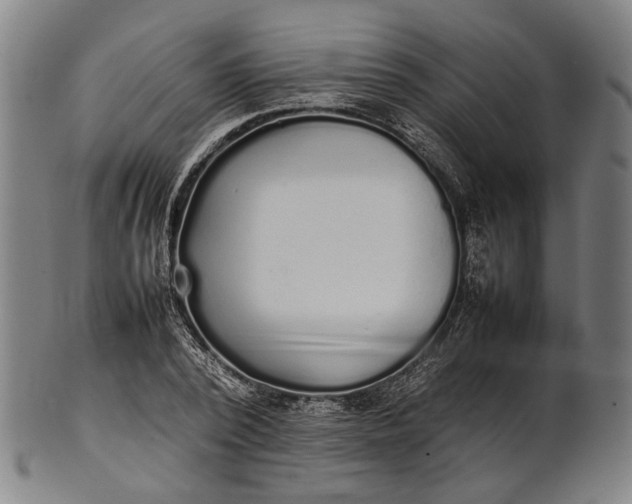 X0000101220784200807111056