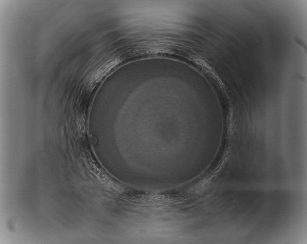 X0000101220785200807111056