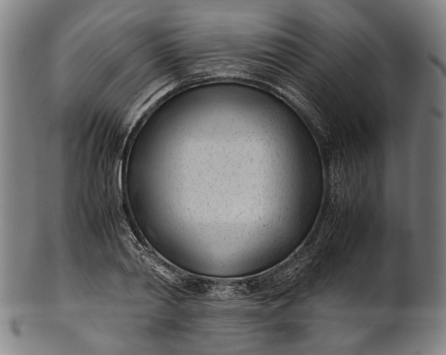 X0000101220790200807111056
