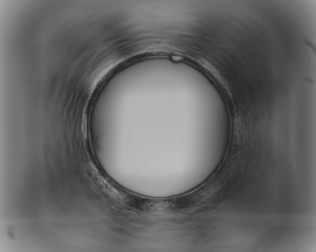 X0000101220791200807111056