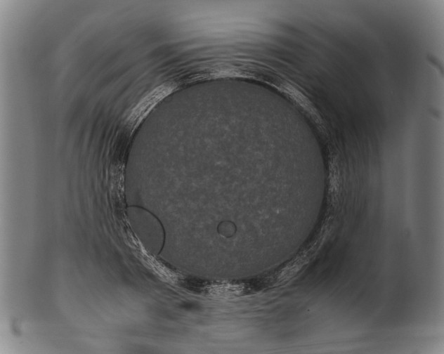 X0000101220793200807111056